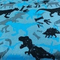 Digitrikoo: Dinosauruksia, luita ja j&auml;lki&auml;, murrettu vaalea farkku, harmaa ja turkoosi